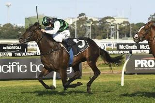 Addictive Nature (NZ) triumphed in the Group 3 Ming Dynasty Quality at Rosehill. Photo: Bradley Photographers